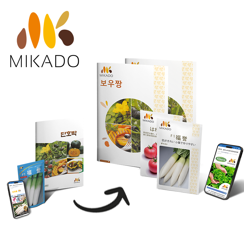 미카도쿄와 브랜드가 미카도 브랜드로 새롭게 시작합니다!