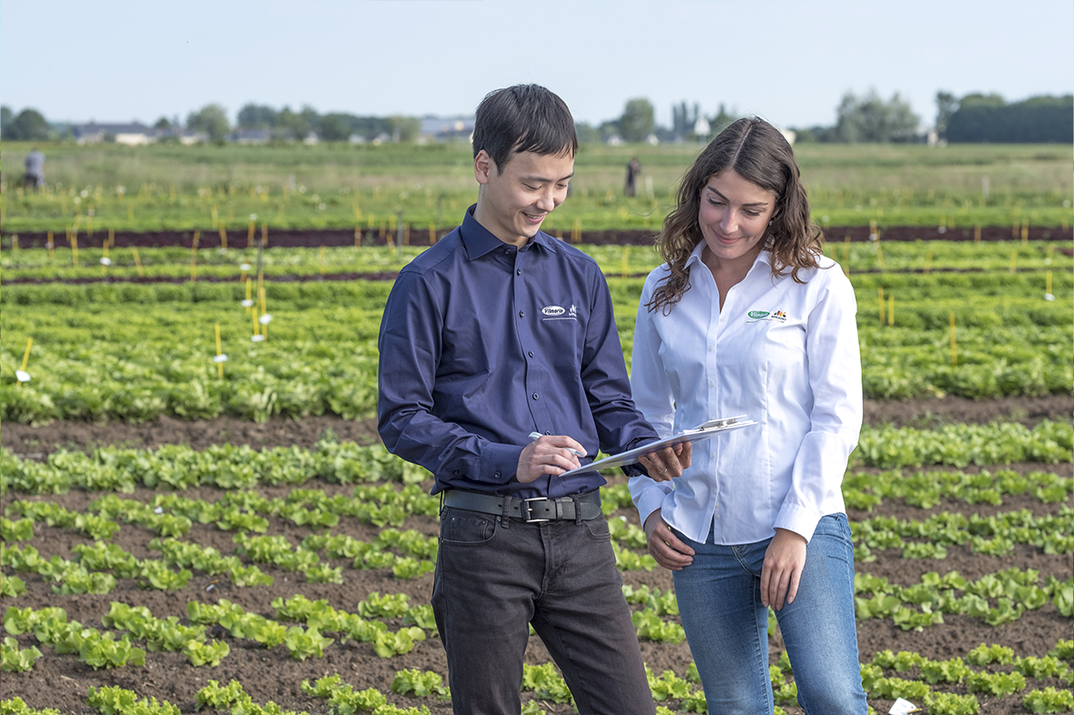 다양한 문화와 노동력
