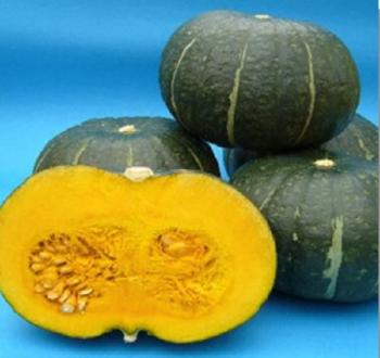 구리유타카7 F1 (K7)