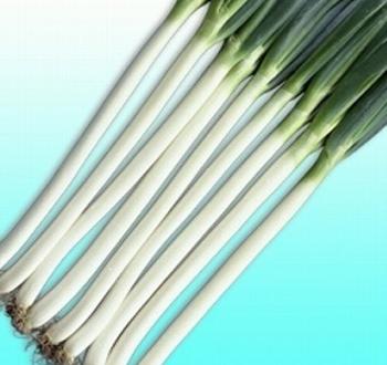 쵸우에쓰(장열)